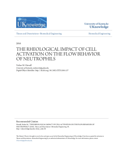 the rheological impact of cell activation on the flow