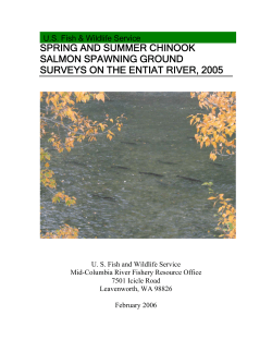 2006. Spring and Summer Chinook Salmon Spawning Ground