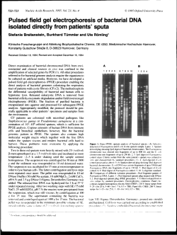 Pulsed field gel electrophoresis of bacterial DNA