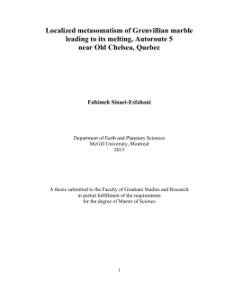 Localized metasomatism of Grenvillian marble