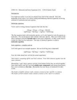 CHM 110 - Molecular and Ionic Equations (r14)