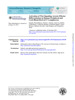 Cord Blood-Derived T Lymphocytes Differentiation in Human