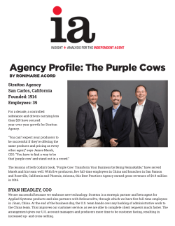 Agency Profile: The Purple Cows