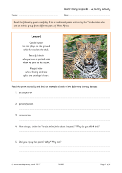 Discovering leopards &ndash; a poetry activity Leopard
