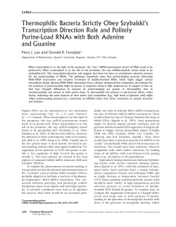 Thermophilic Bacteria Strictly Obey Szybalski`s Transcription