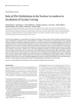Role of DNA Methylation in the Nucleus Accumbens in Incubation of