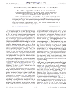 Coarse-Grained Dynamics of Protein Synthesis in a Cell