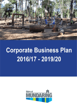 Corporate Business Plan 2016/17