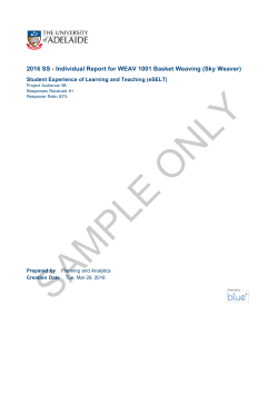 2016 SS - Individual Report for WEAV 1001 Basket Weaving (Sky