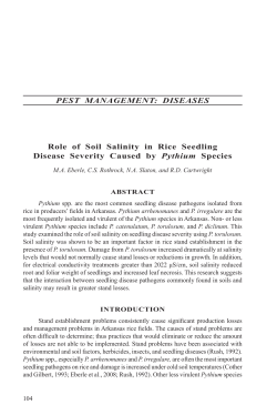 PEST MANAGEMENT: DISEASES Role of Soil Salinity in Rice