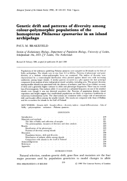 Genetic drift and patterns of diversity among