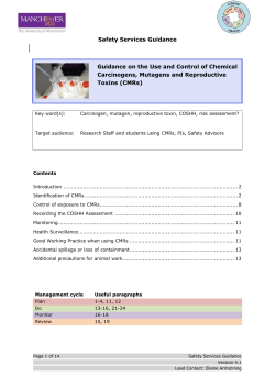 Health and Safety Services