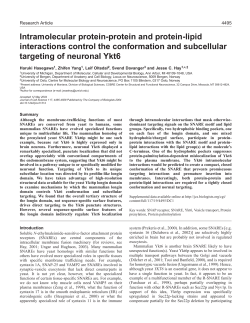 Intramolecular protein-protein and protein
