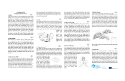 Guide to the Geology trail (Iceland)
