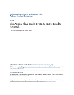 The Animal Slave Trade: Brutality on the Road to Research
