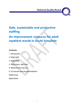 Safe, sustainable and productive staffing An improvement resource