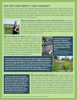 how wetlands benefit your community