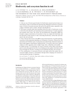 Biodiversity and ecosystem function in soil