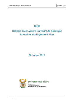 Draft ORM Estuarine Management Plan