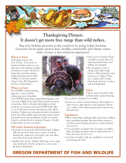 Thanksgiving Dinner: It doesn`t get more free range than wild turkey.