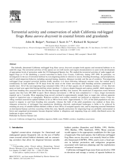 Terrestrial activity and conservation of adult California red