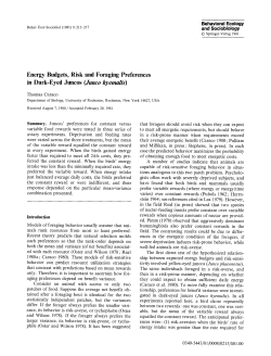 Energy budgets, risk and foraging preferences in