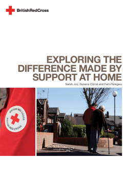 Exploring thE diffErEncE madE by Support at homE