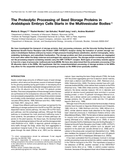 The Proteolytic Processing of Seed Storage Proteins in Arabidopsis