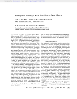 Hemoglobin Messenger RNA from Human Bone Marrow