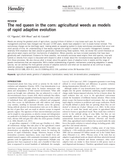 The red queen in the corn: agricultural weeds as models of rapid