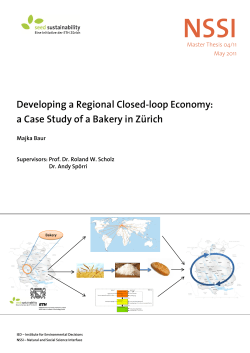 Developing a Regional Closed-loop Economy: a Case