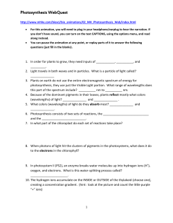 Photosynthesis WebQuest