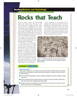 Chapter 5 Reading