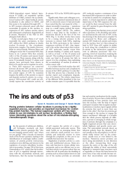 The ins and outs of p53.