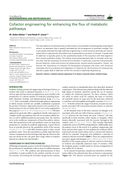 Cofactor engineering for enhancing the flux of metabolic pathways