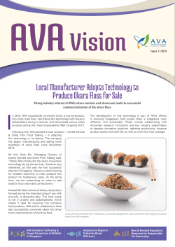 AVA Vision - ava.gov.sg