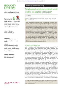 Mitochondrial membrane potential: a trait involved in organelle