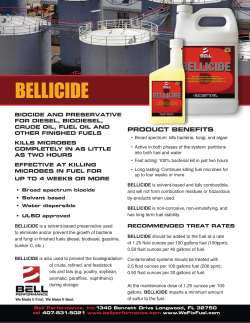 BELLICIDE