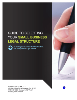 guide to selecting your small business legal structure