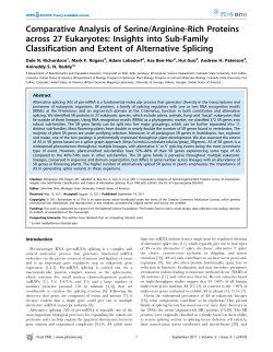 Comparative Analysis of Serine/Arginine