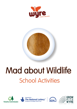 Mad about wildlife - Forestry Commission