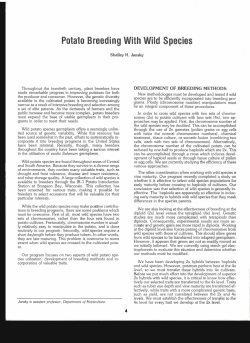 Potato Breeding With Wild Species