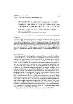increase in macromolecular amounts during the cell cycle of