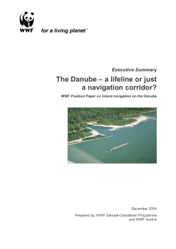 The Danube &oelig; a lifeline or just a navigation corridor?