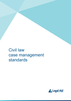 Case Management Standards—civil law