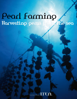 Pearl Farming - Tahiti Tourisme