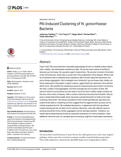 Pili-Induced Clustering of N. gonorrhoeae Bacteria