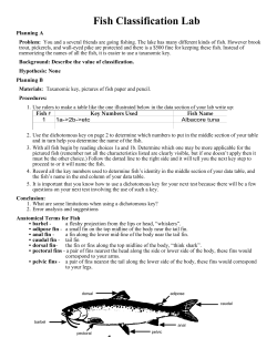 Fish Classification Lab