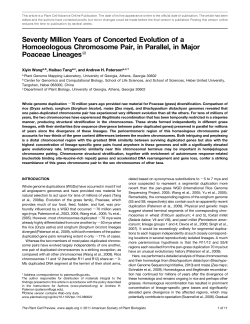 Seventy Million Years of Concerted Evolution of a