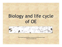 protozoan parasite Ophryocystis elektroscirrha (OE)